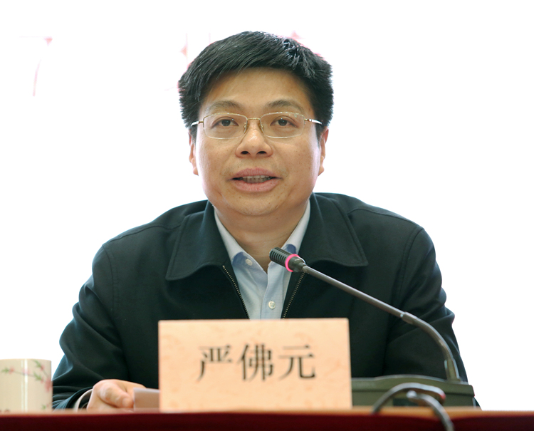 江西省政府副秘書(shū)長(zhǎng)、省駐京辦黨組書(shū)記、主任嚴(yán)佛元.JPG